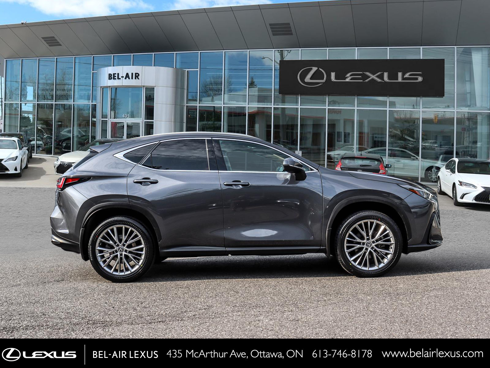 Lexus NX 350 2024 3