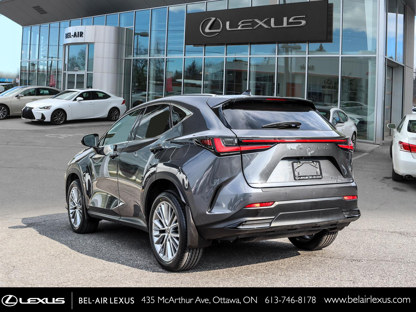 Lexus NX 350 2024 6
