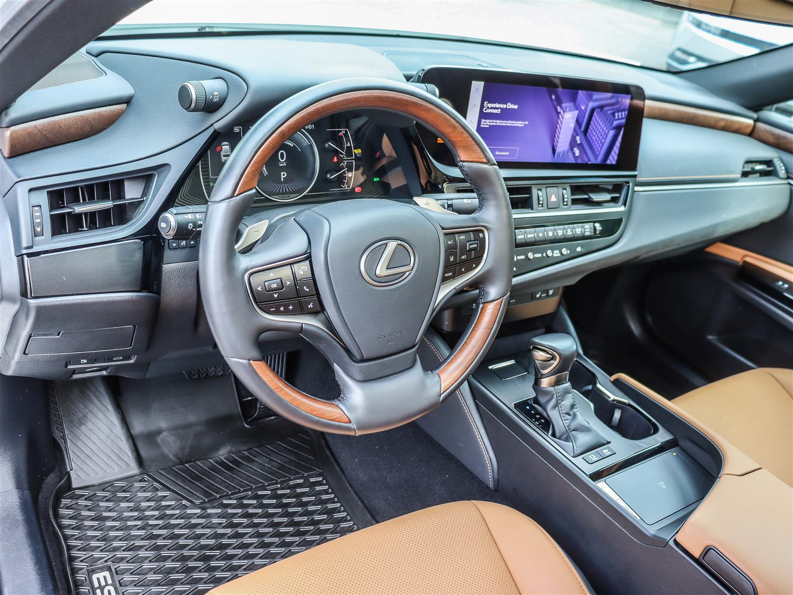 2024 Lexus ES 300h 11