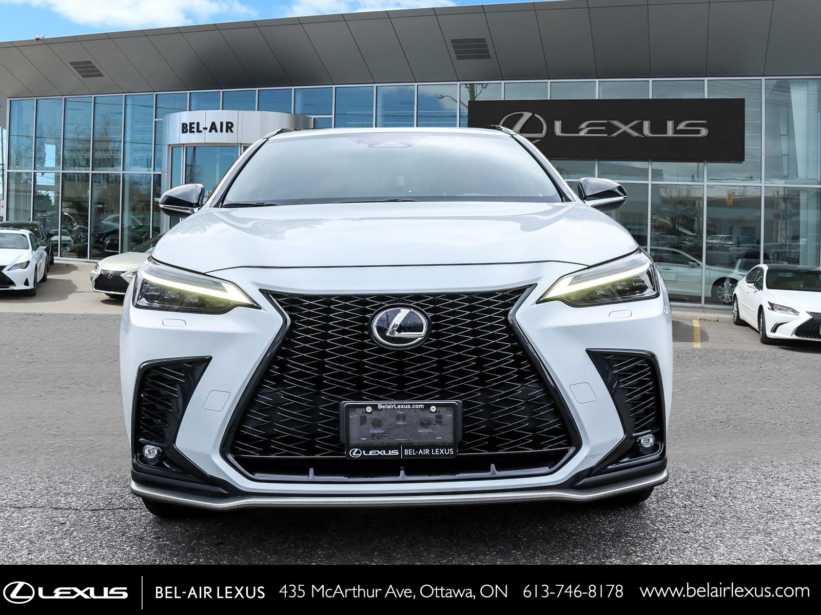 Lexus NX 350 2022 1