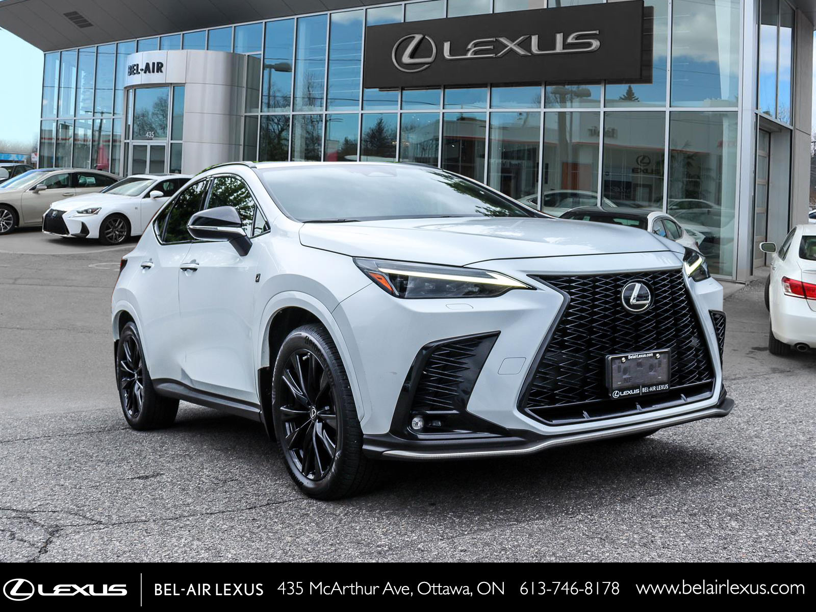 Lexus NX 350 2022 2
