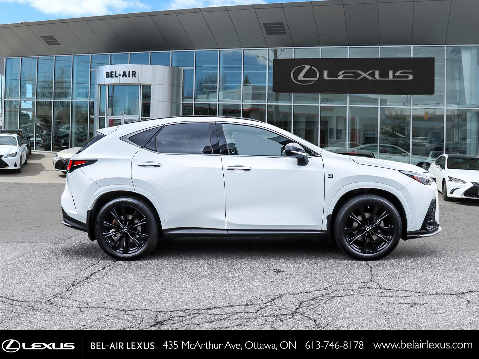 Lexus NX 350 2022 3