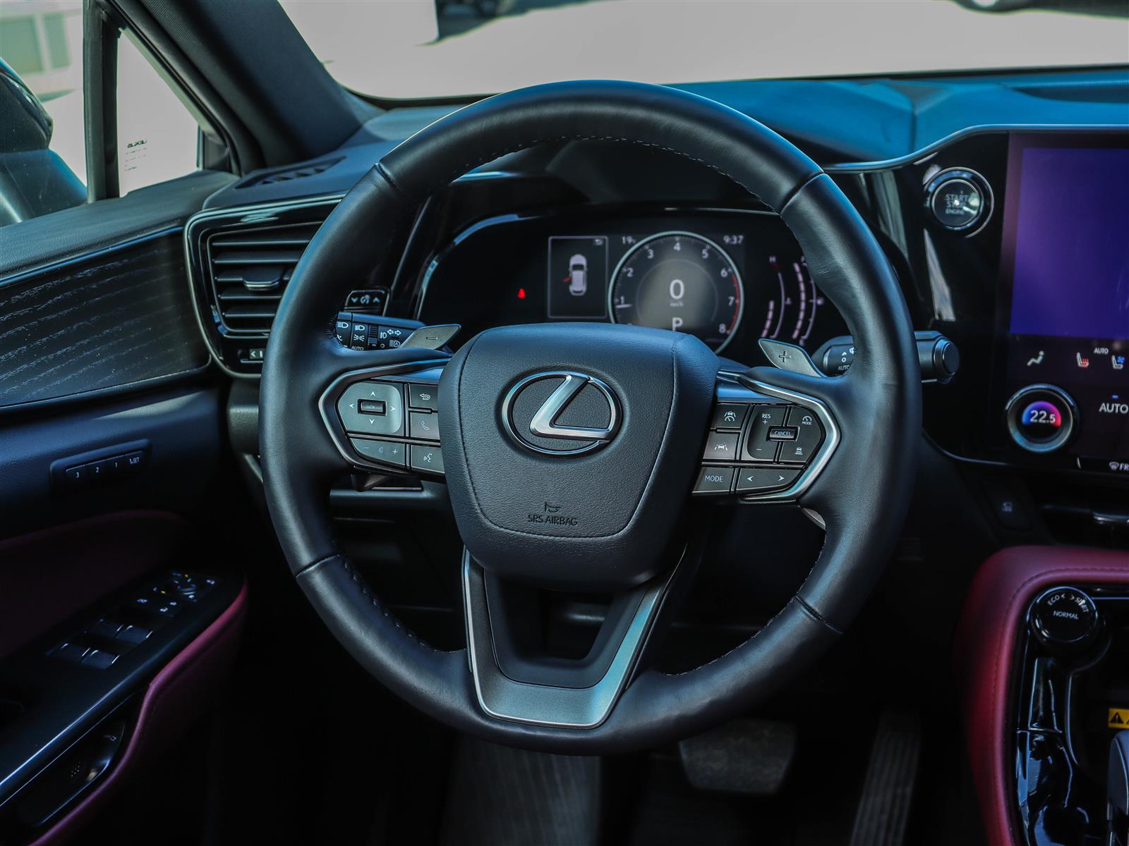2025 Lexus NX 350 13