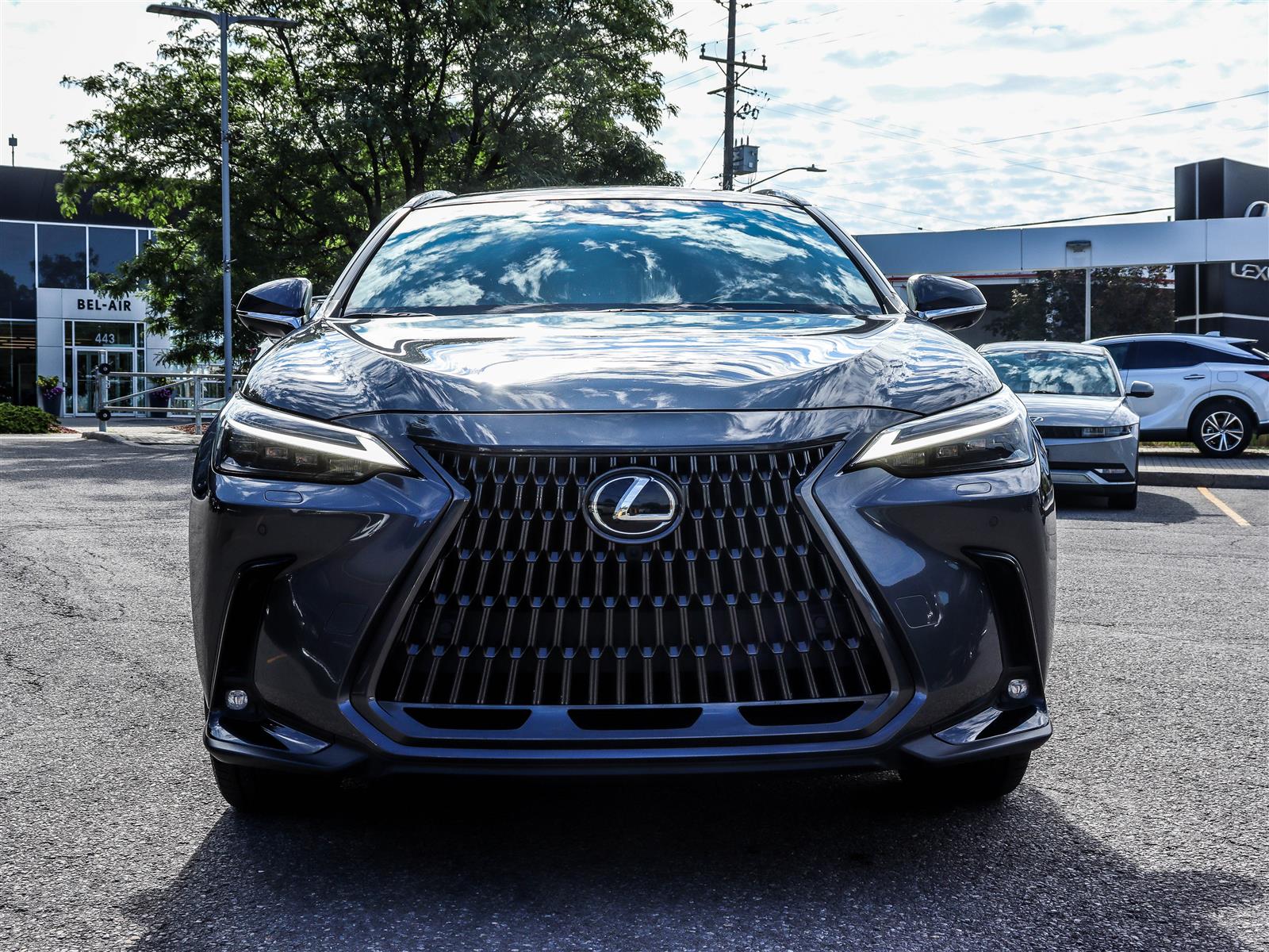 2025 Lexus NX 350 1