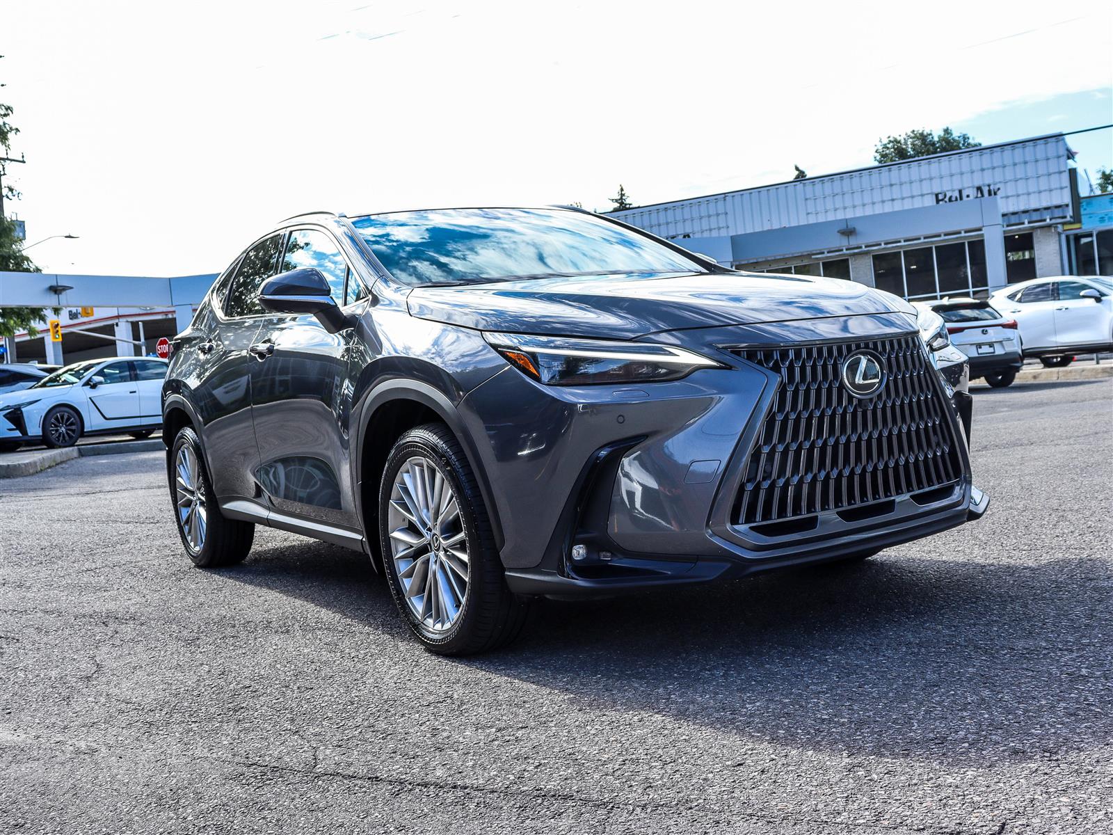 2025 Lexus NX 350 2