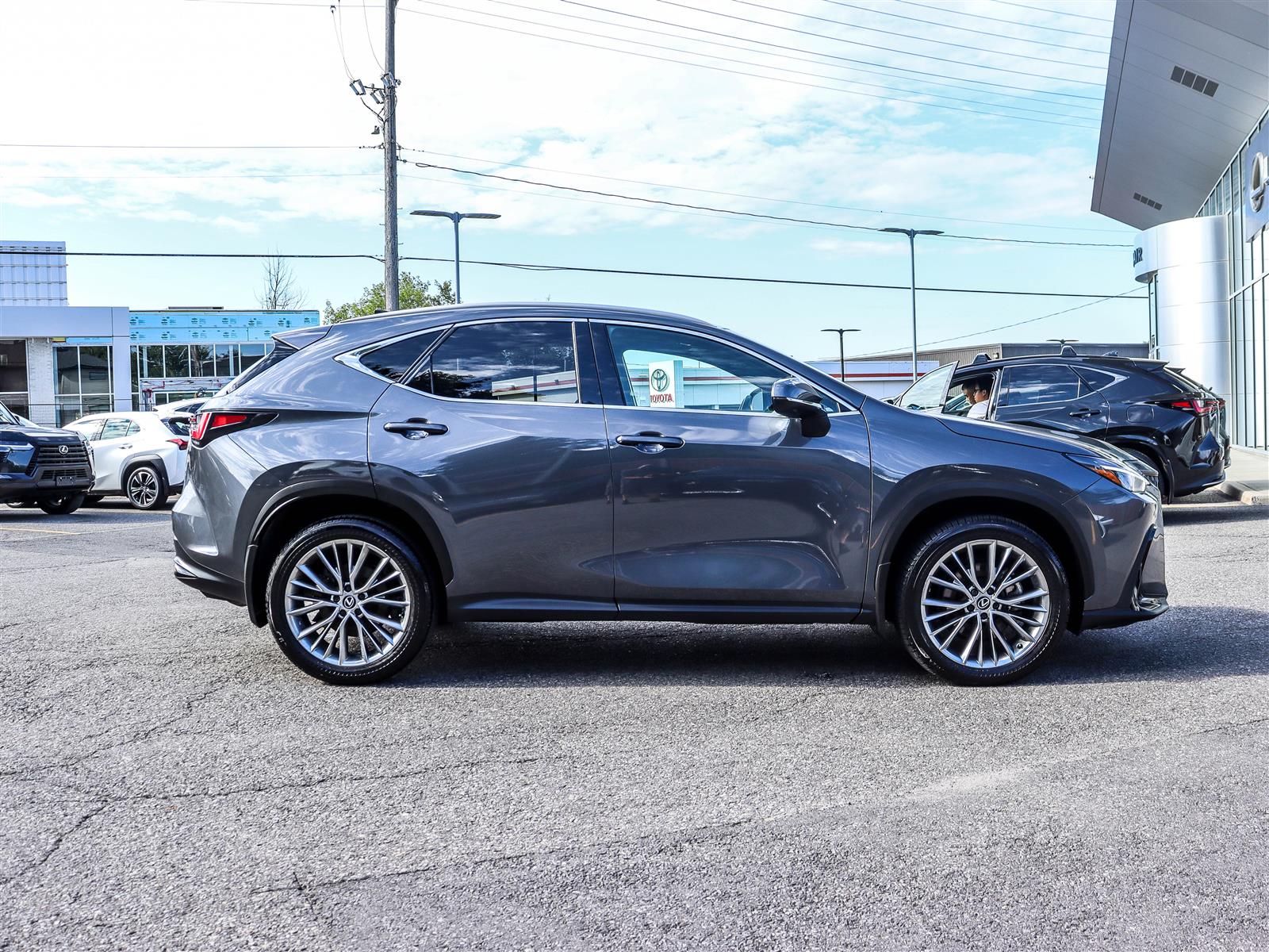 2025 Lexus NX 350 3
