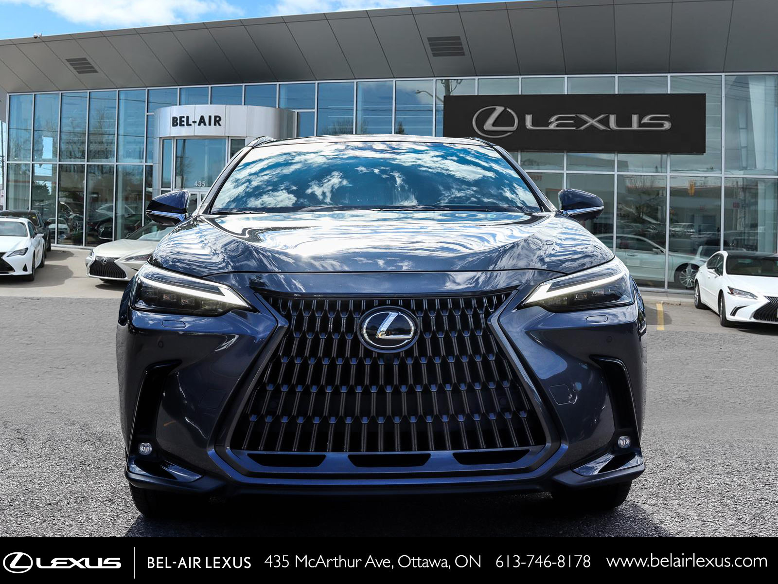 2025 Lexus NX 350 1