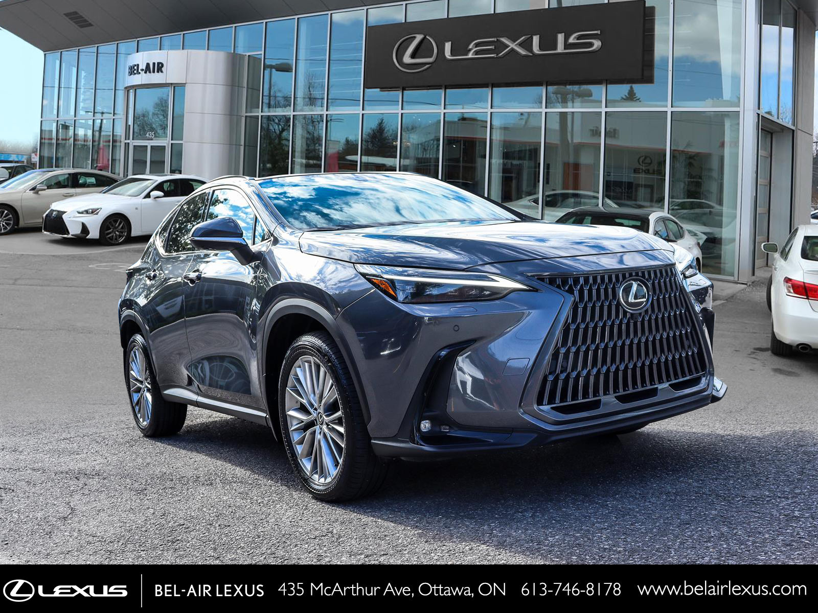 2025 Lexus NX 350 2