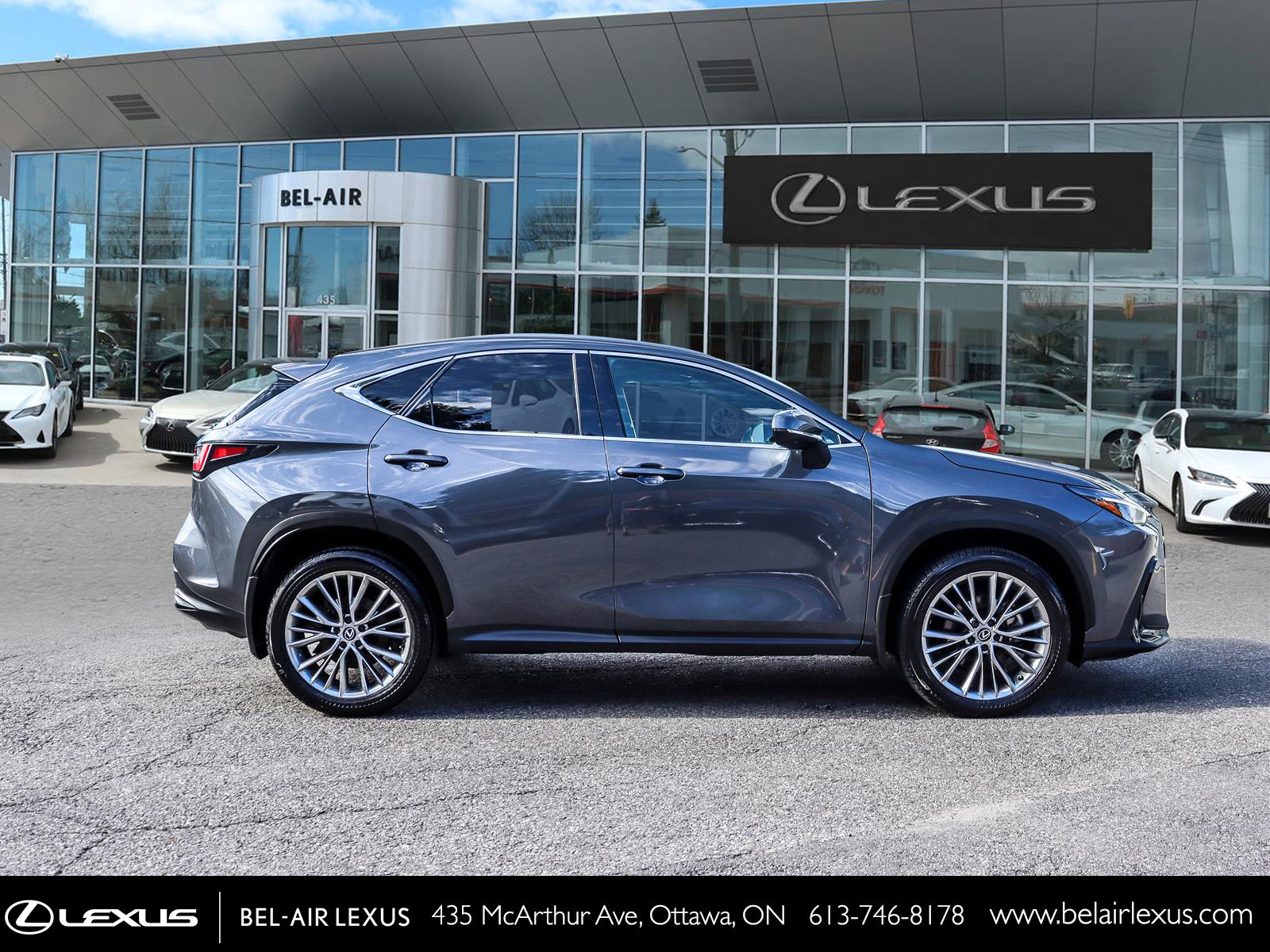 2025 Lexus NX 350 3