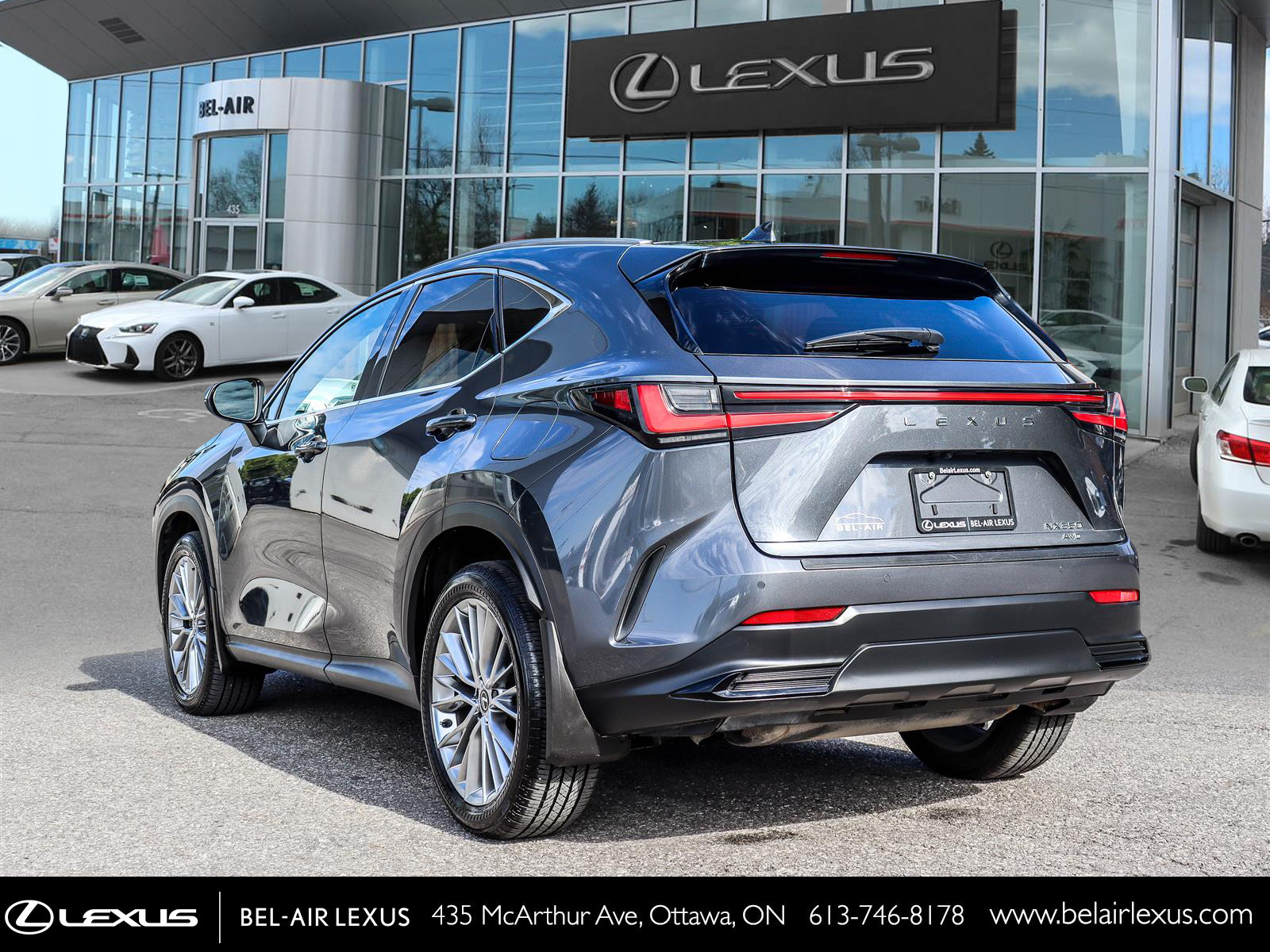 2025 Lexus NX 350 6
