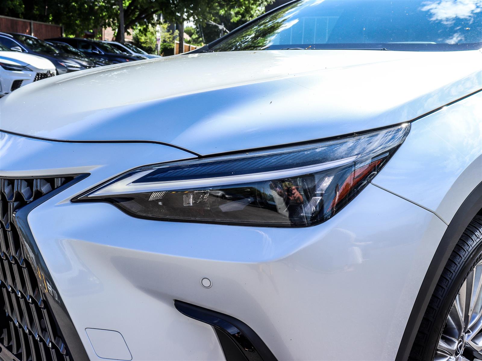 2024 Lexus NX 350 24