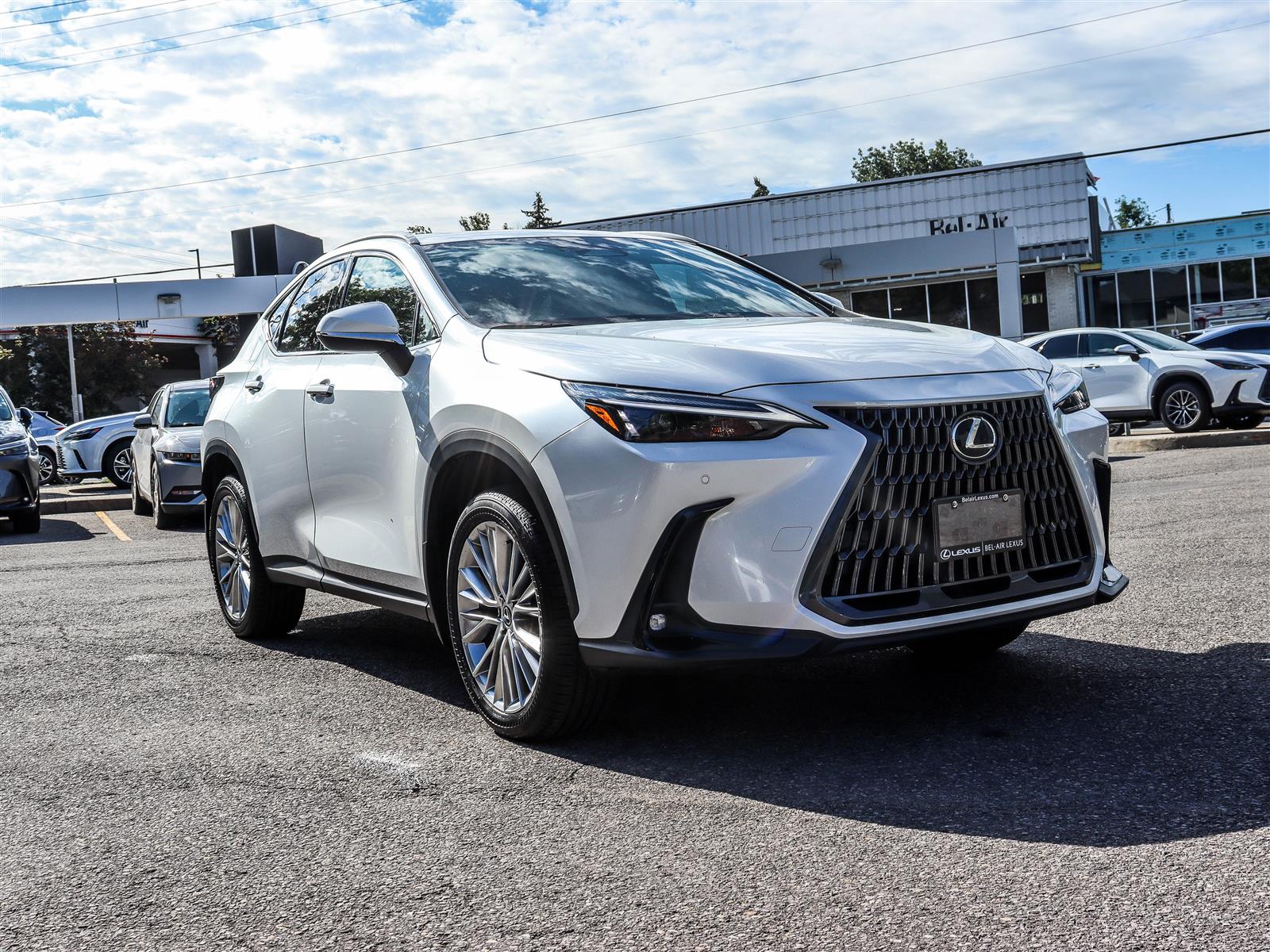 2024 Lexus NX 350 2