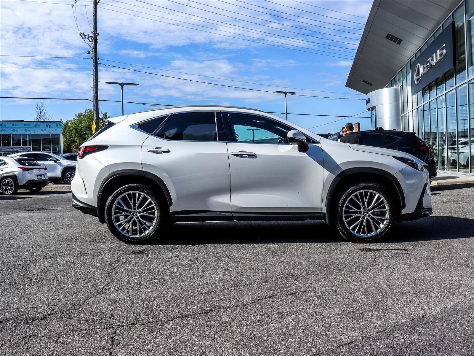 2024 Lexus NX 350 3