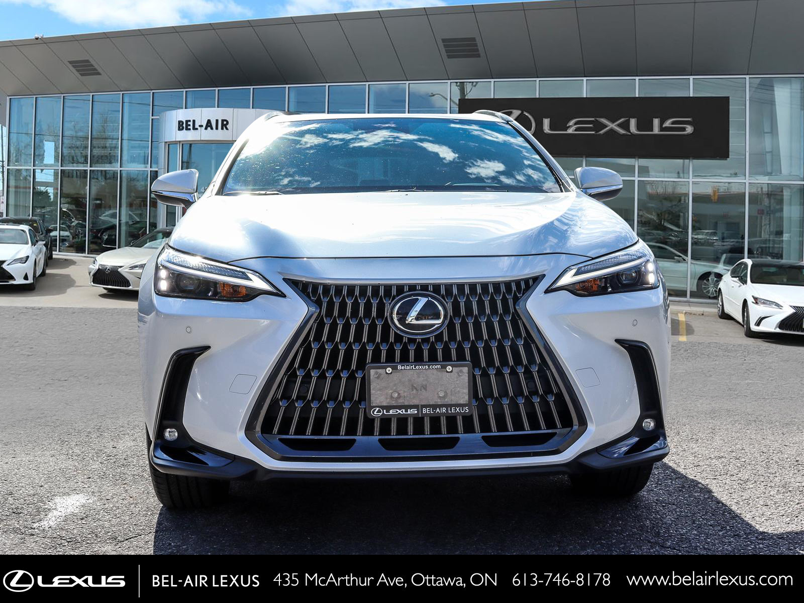 2024 Lexus NX 350 1