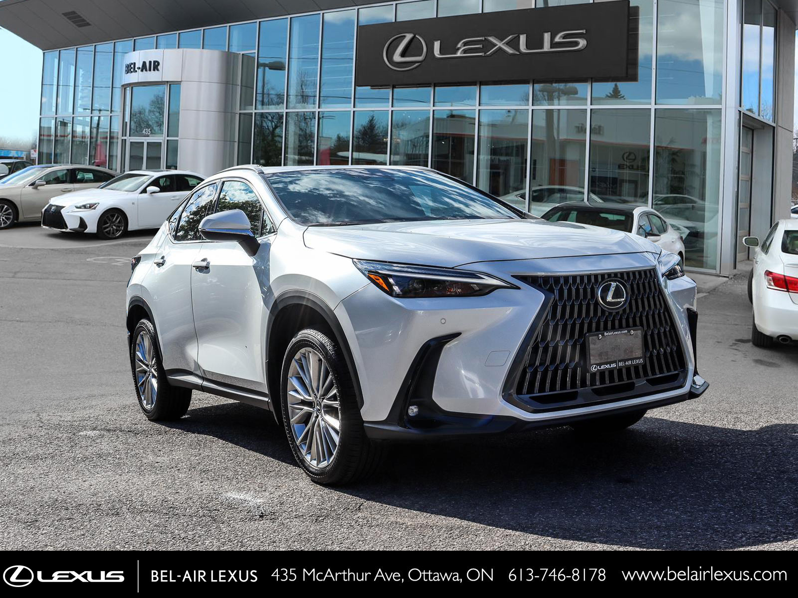 2024 Lexus NX 350 2