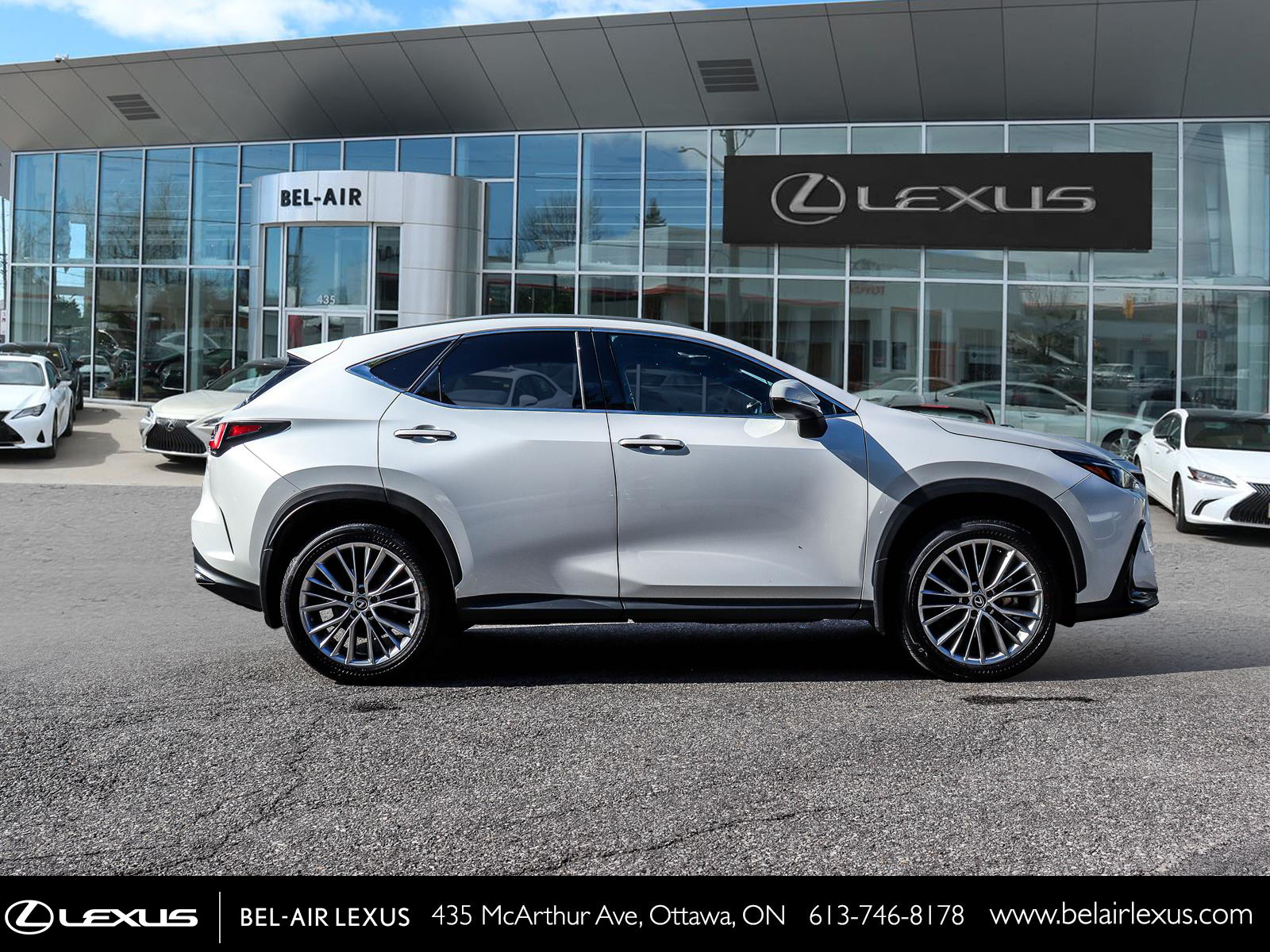 2024 Lexus NX 350 3