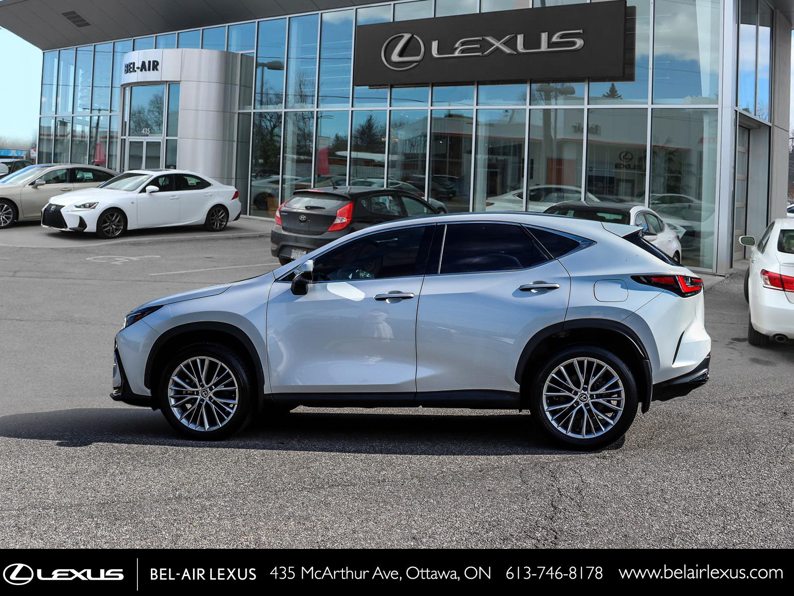 2024 Lexus NX 350 6