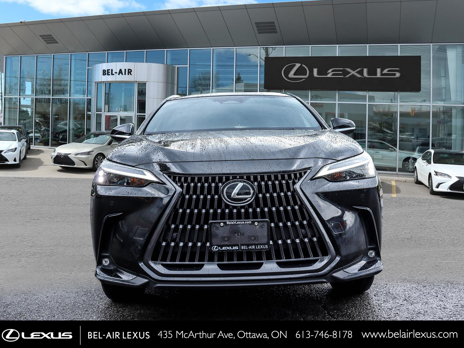 2022 Lexus NX 350 1