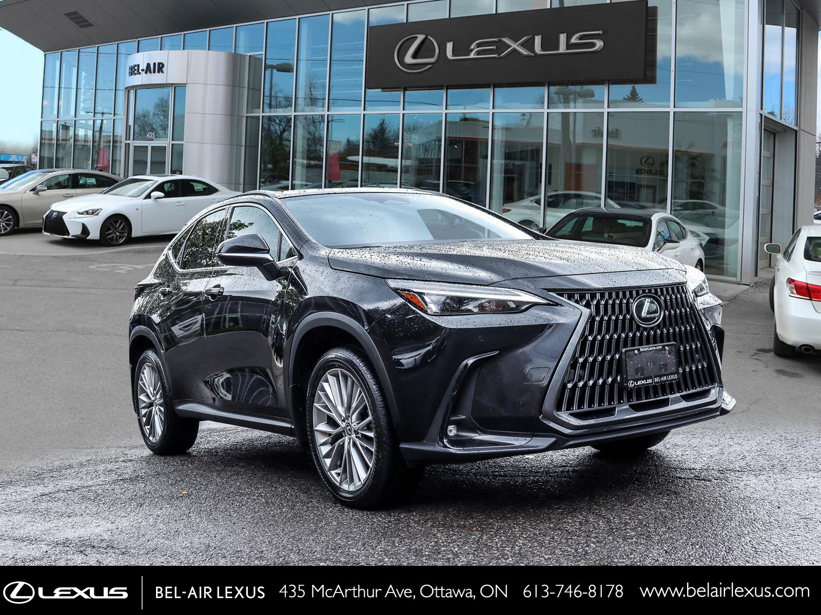 2022 Lexus NX 350 2