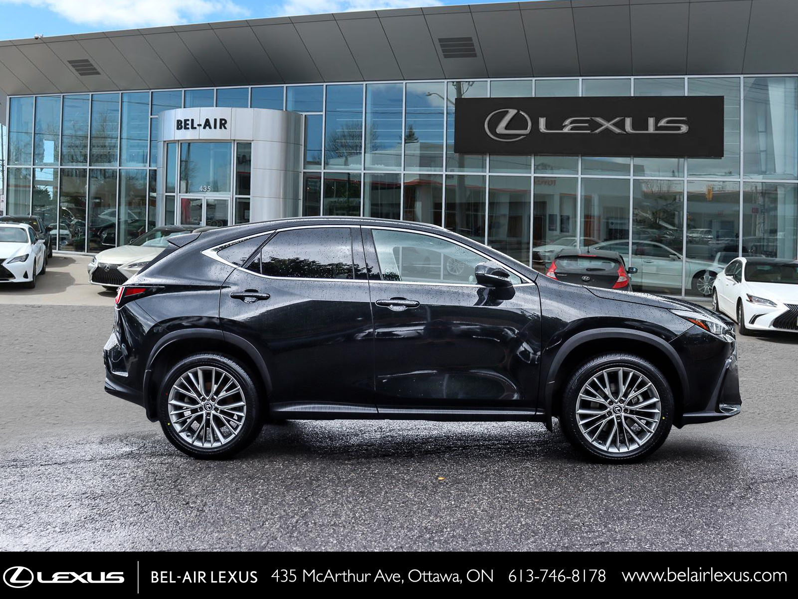 2022 Lexus NX 350 3