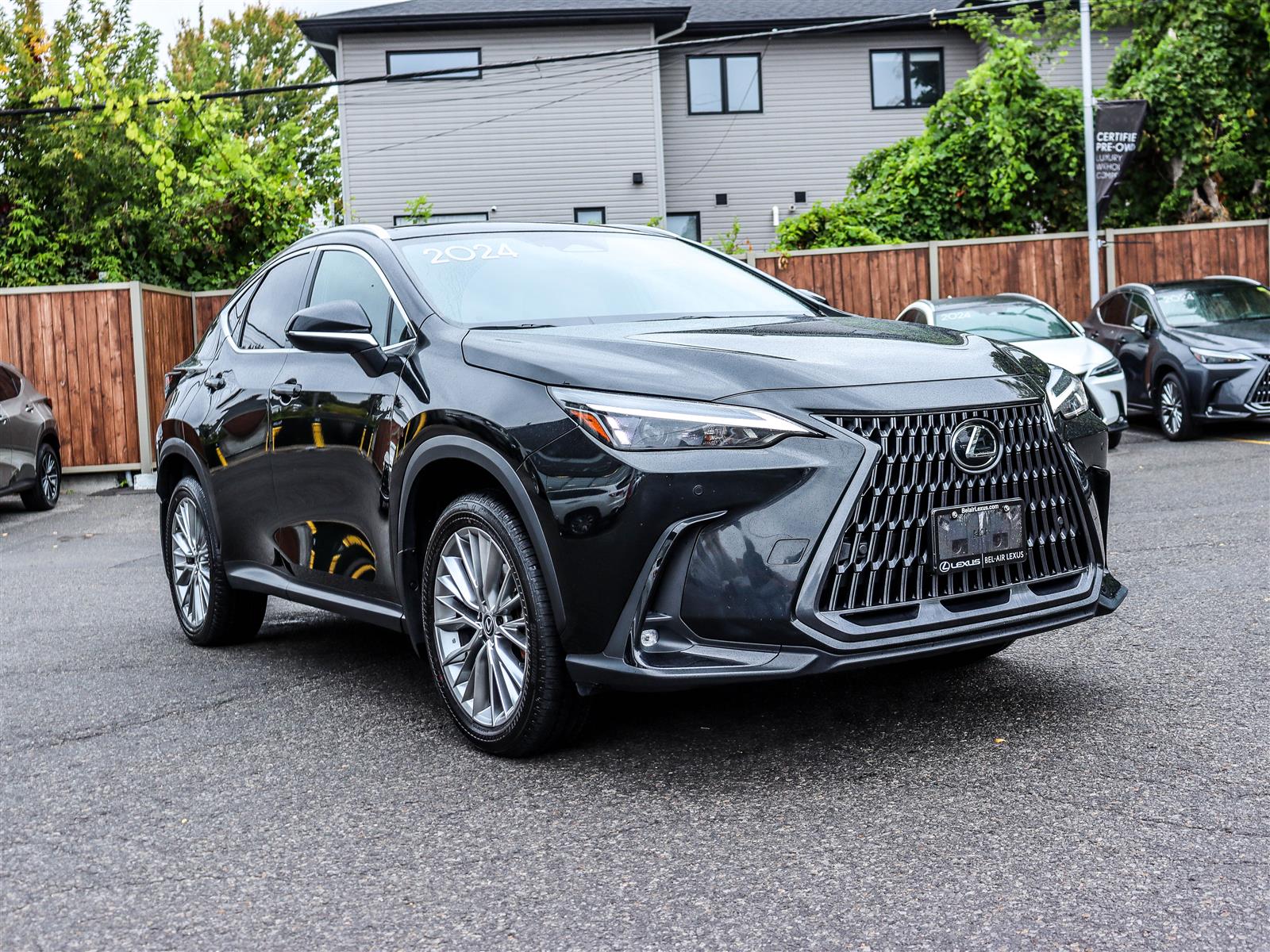 Lexus NX 350 2024 2