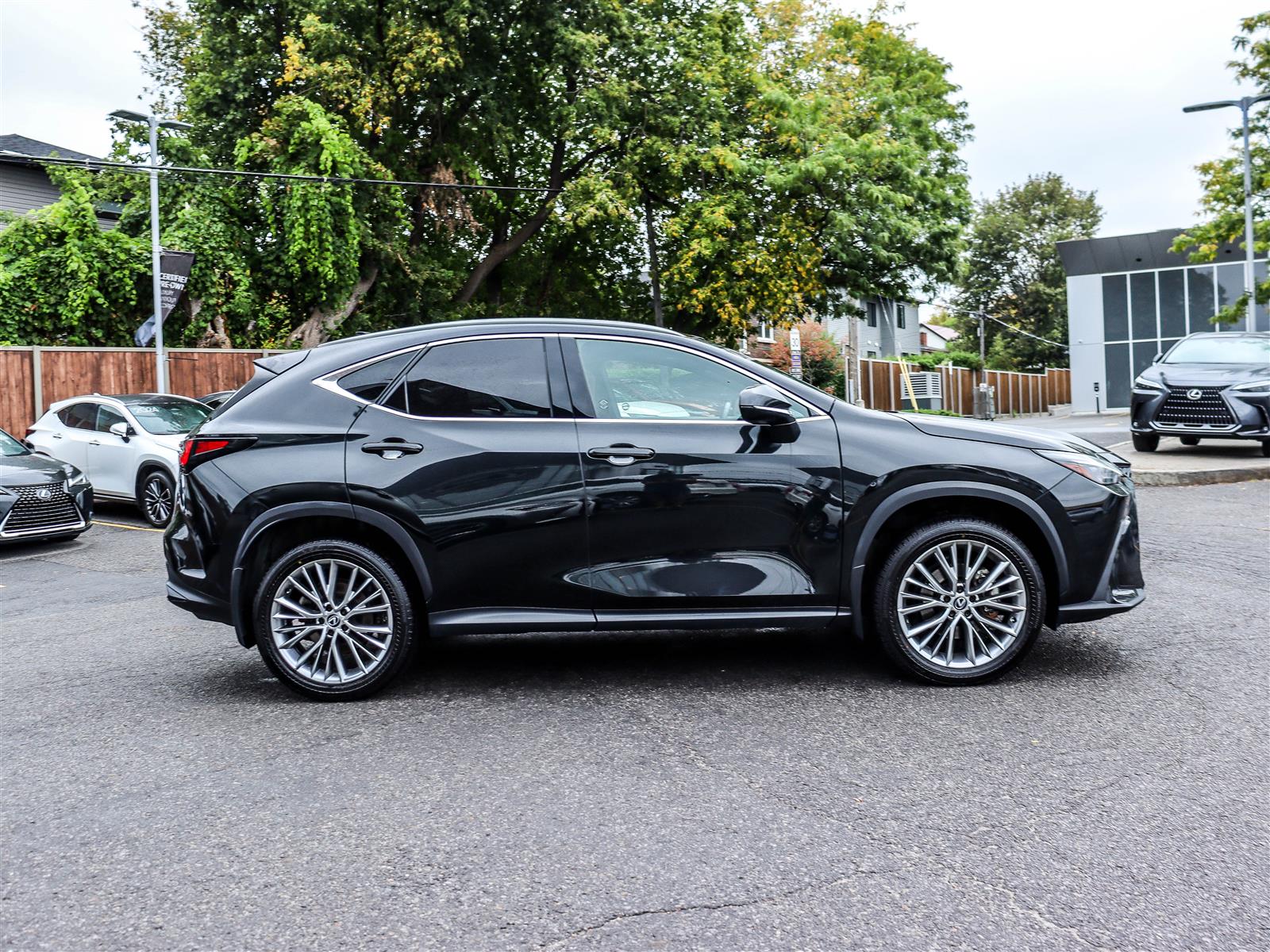 Lexus NX 350 2024 3