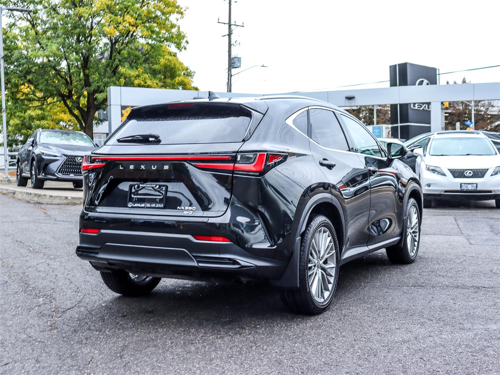 Lexus NX 350 2024 4