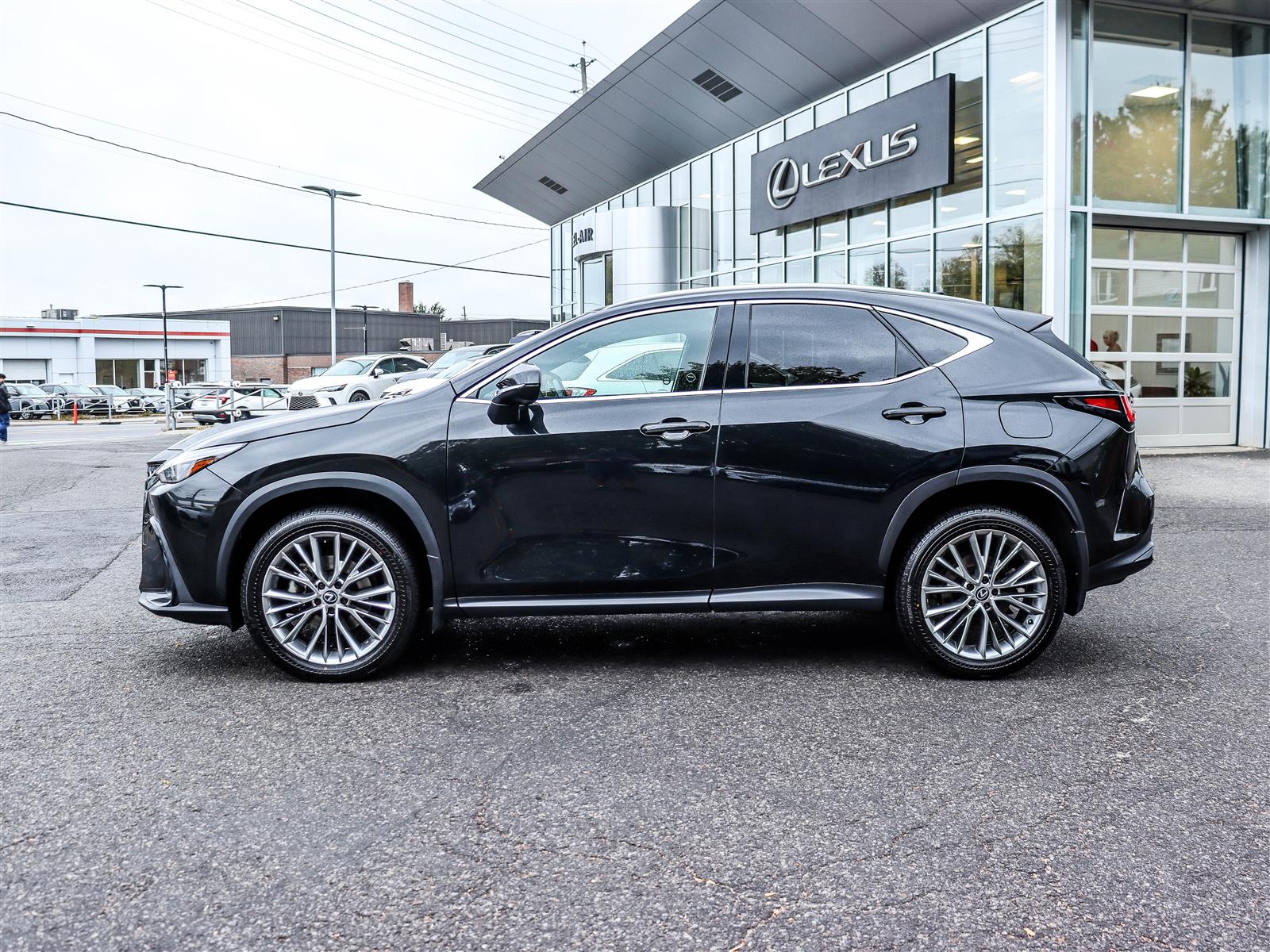 Lexus NX 350 2024 7