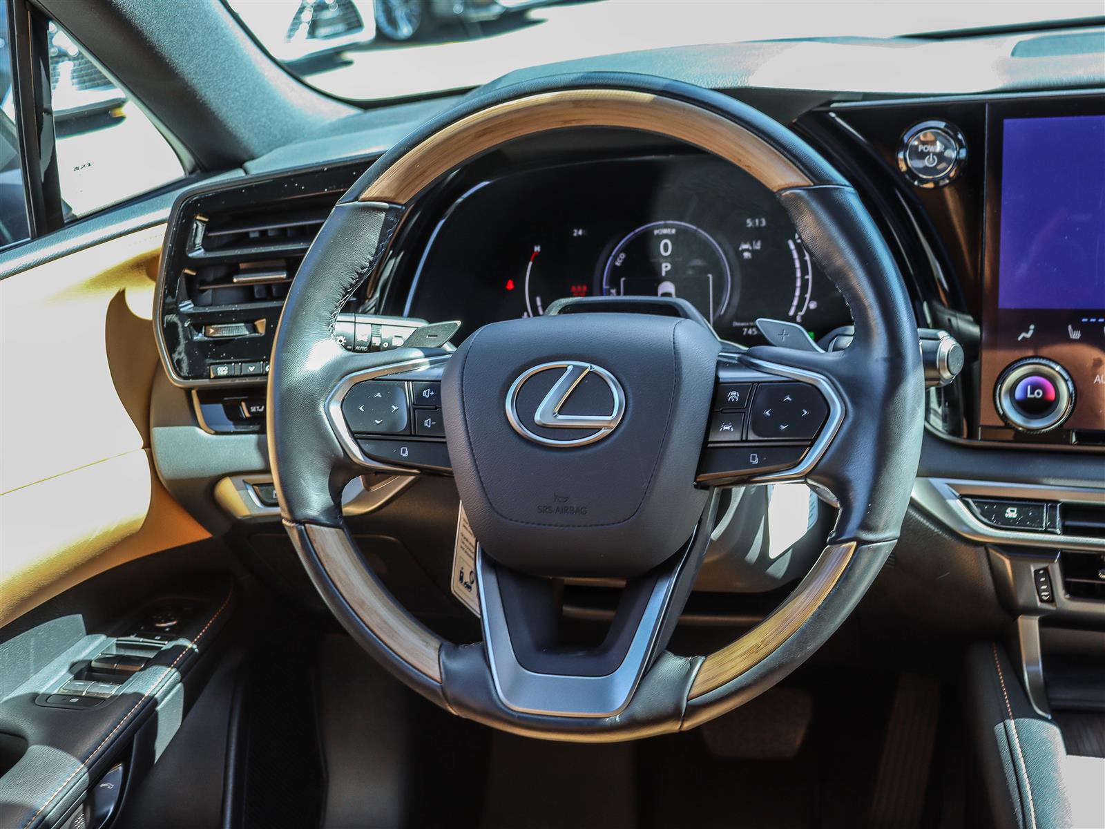 2024 Lexus RX 350h 13