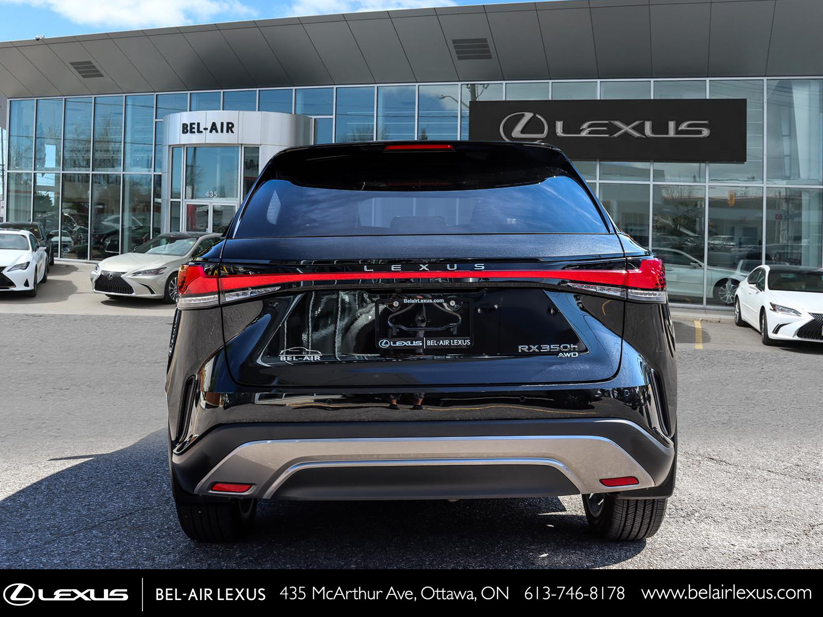 2024 Lexus RX 350h 5