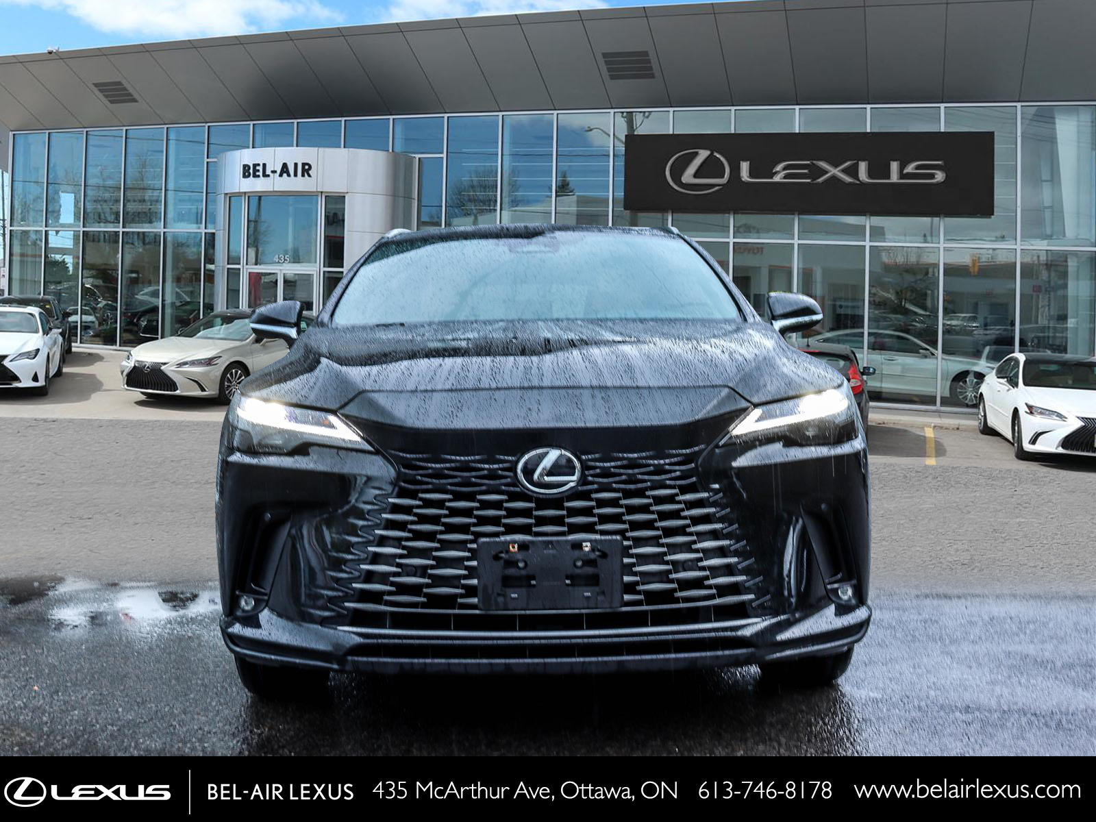 2024 Lexus RX 350h 1