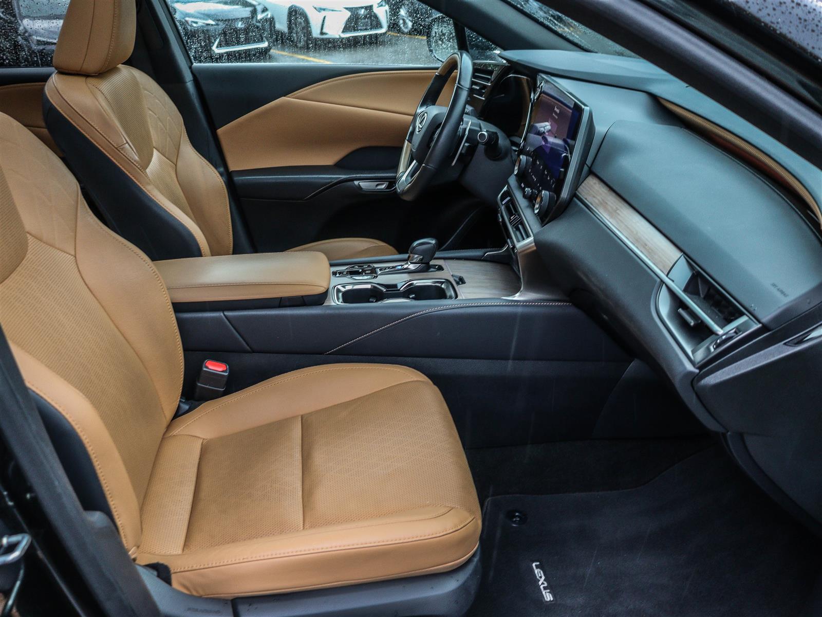 2024 Lexus RX 350h 19