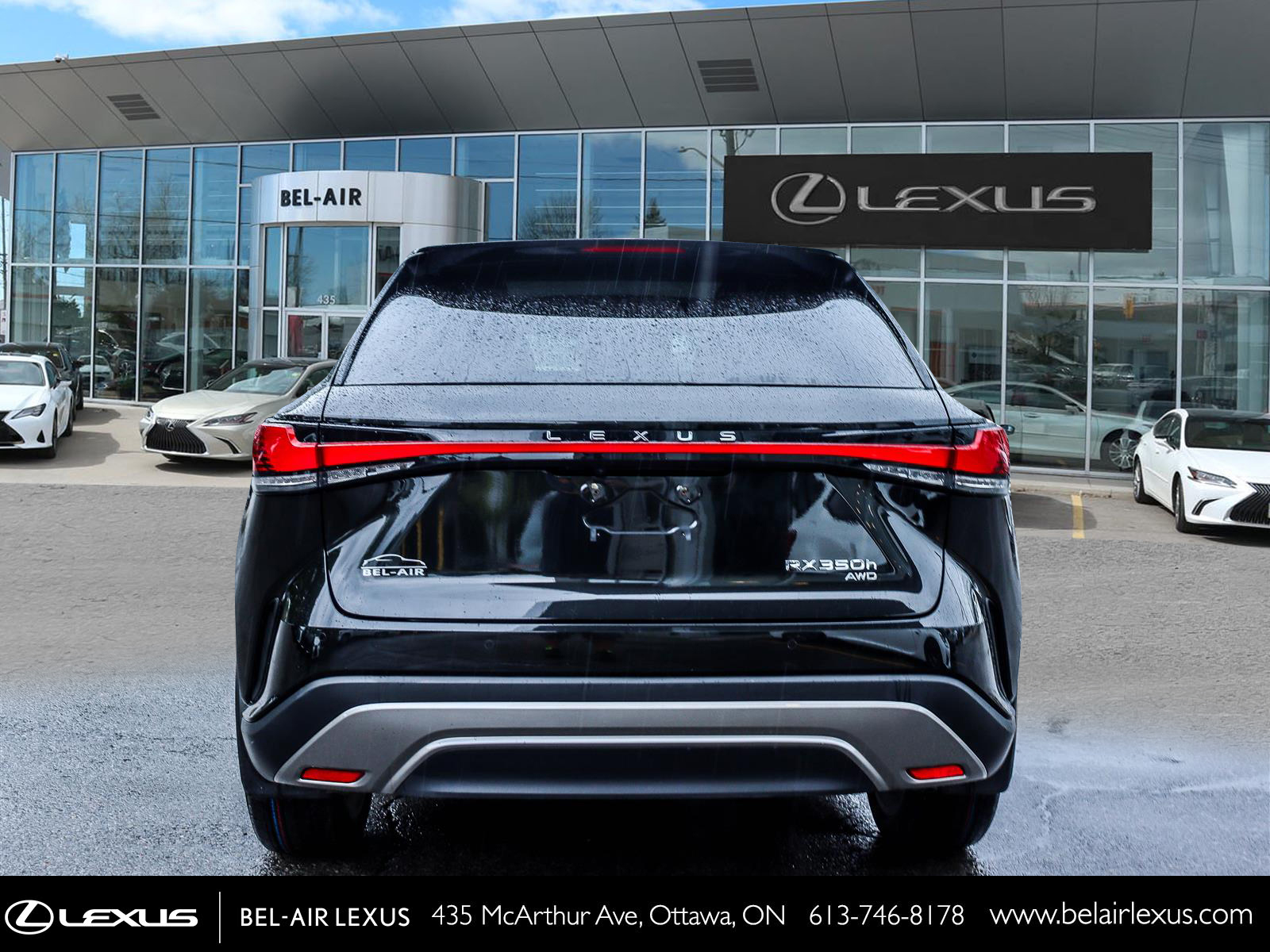 2024 Lexus RX 350h 5