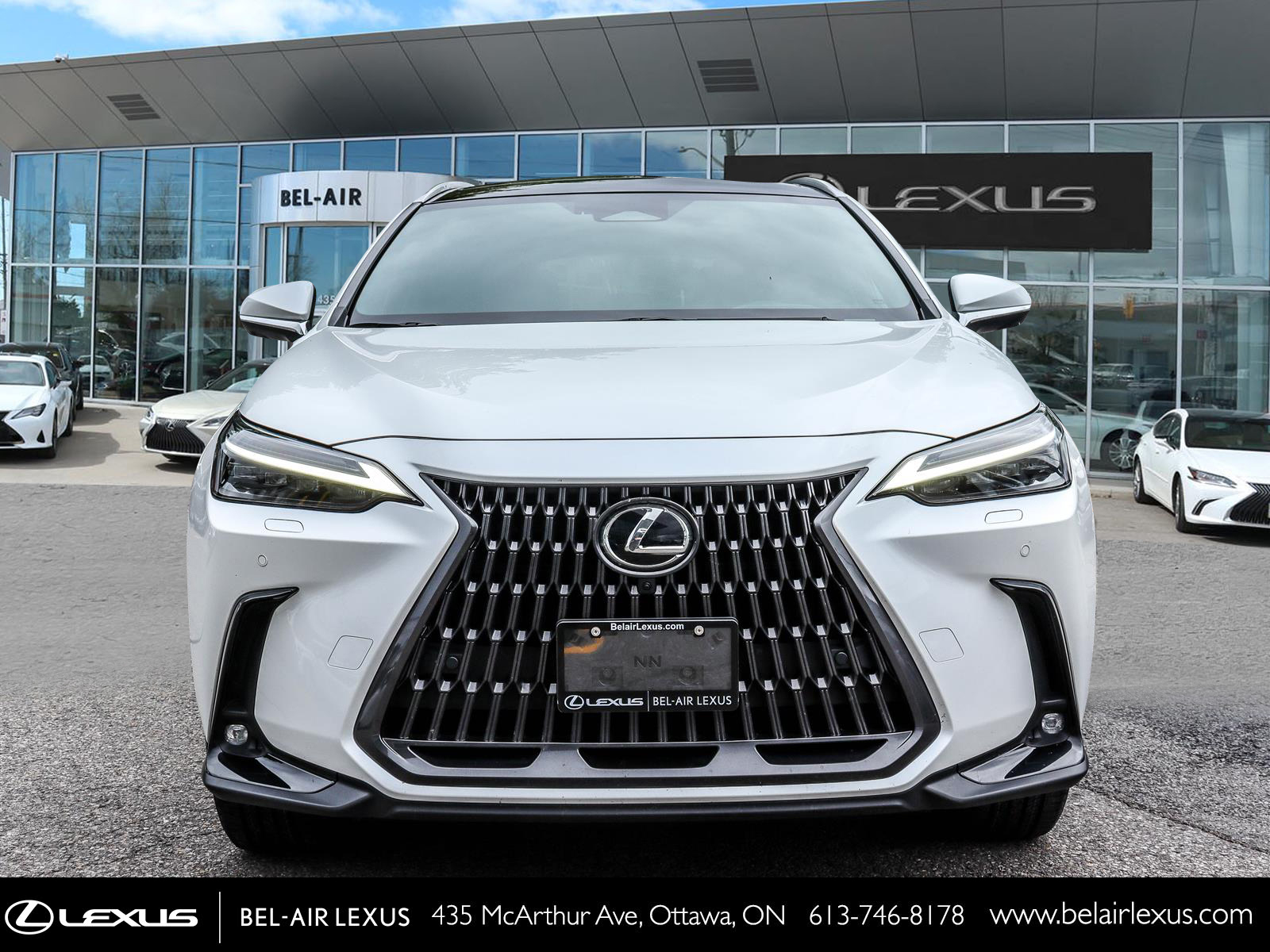 2024 Lexus NX 350h 1
