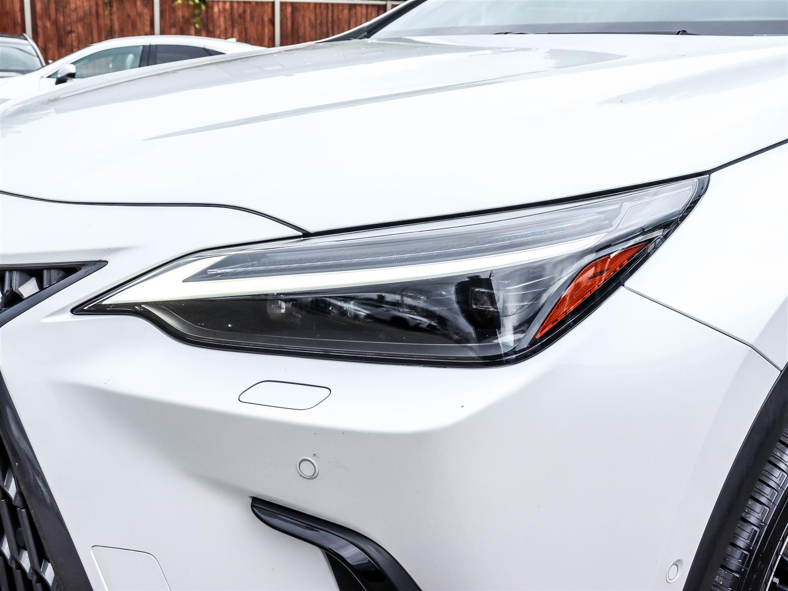 2024 Lexus NX 350h 25