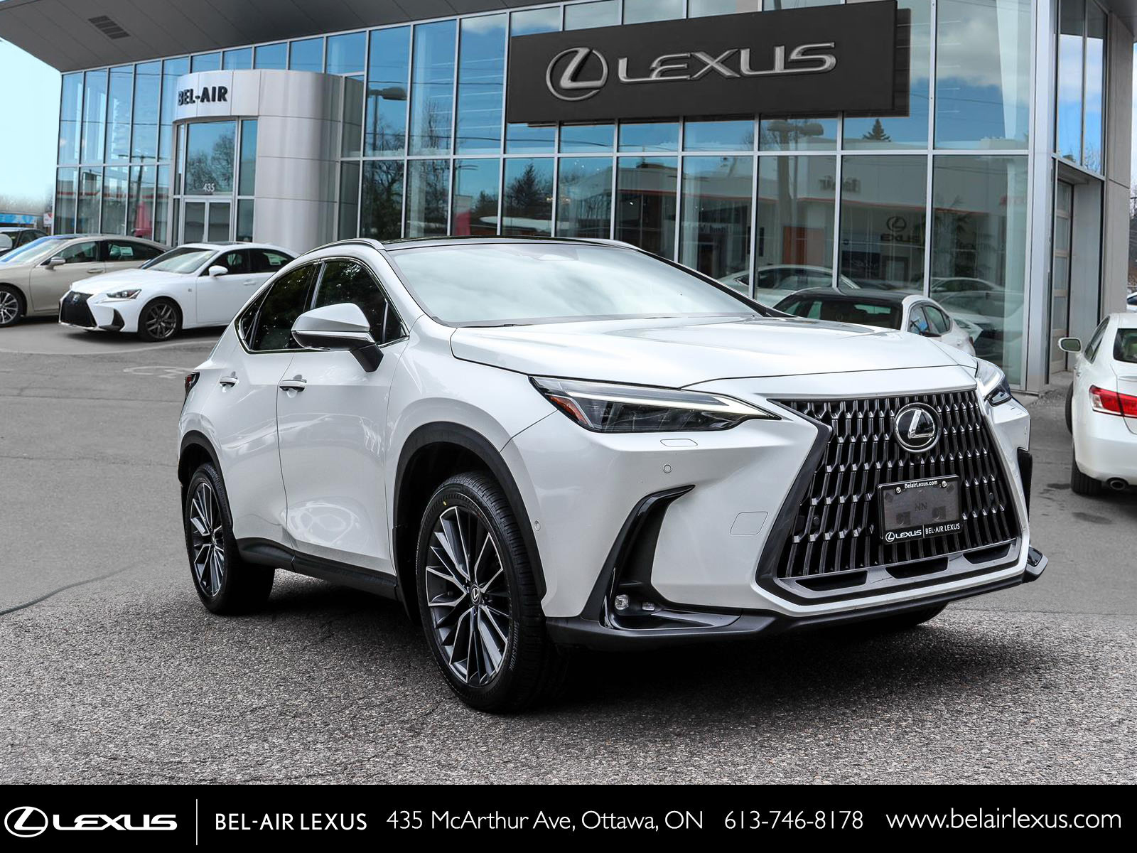 2024 Lexus NX 350h 2
