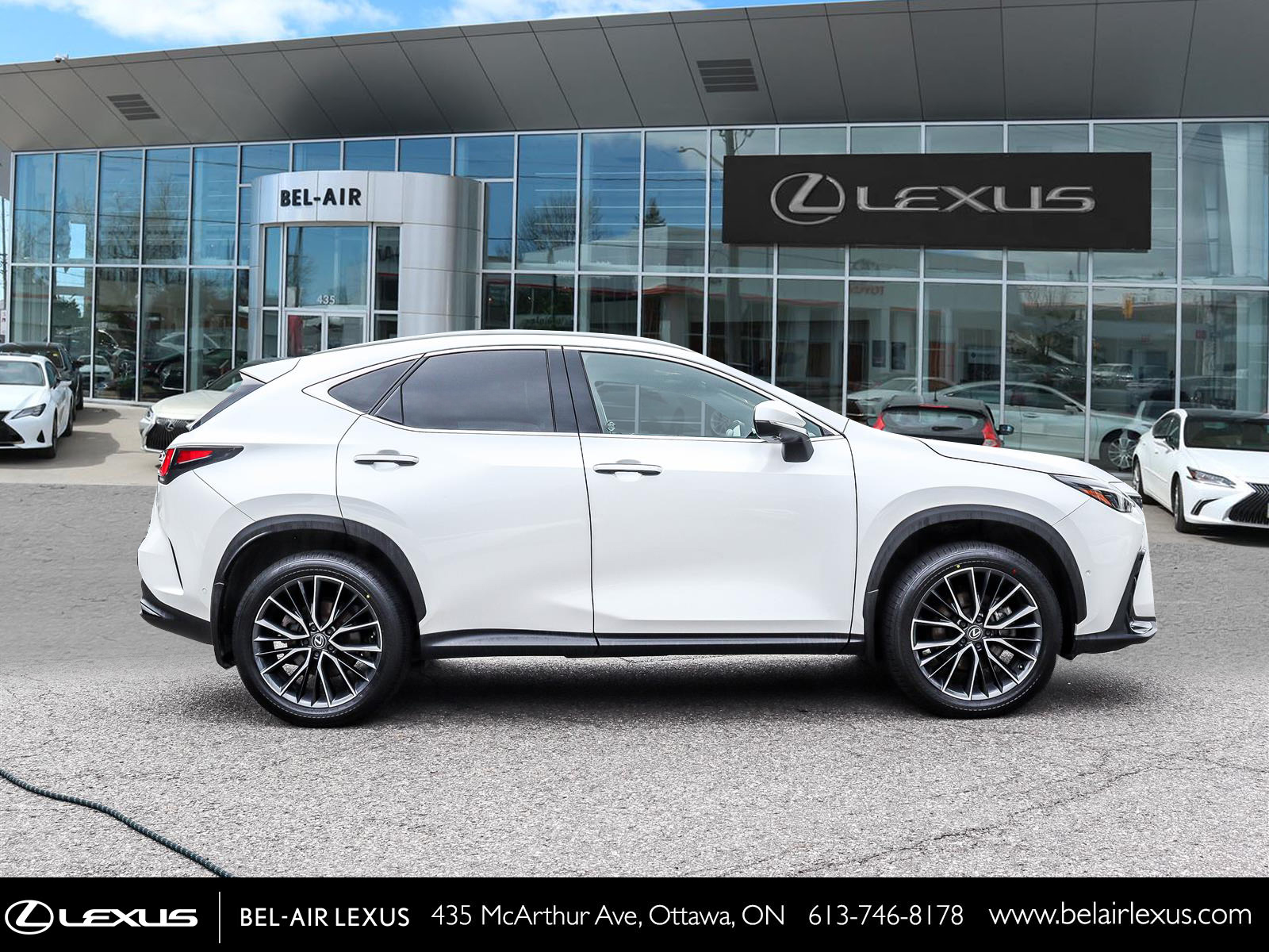 2024 Lexus NX 350h 3