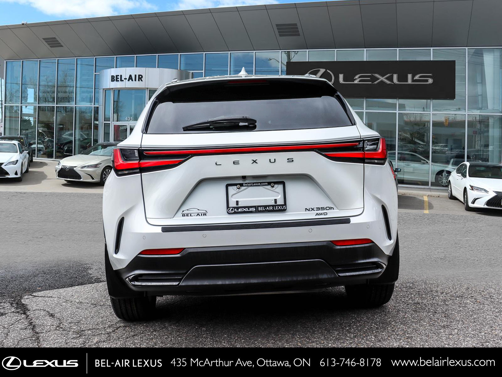 2024 Lexus NX 350h 5