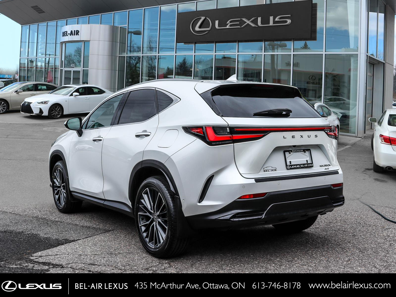 2024 Lexus NX 350h 6