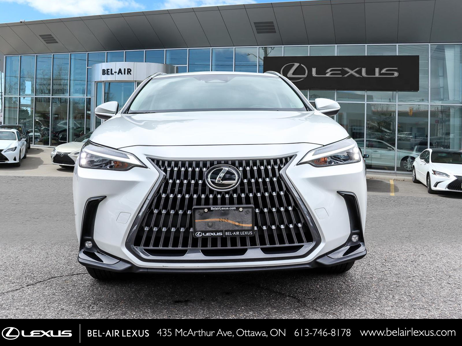 2025 Lexus NX 350h 1