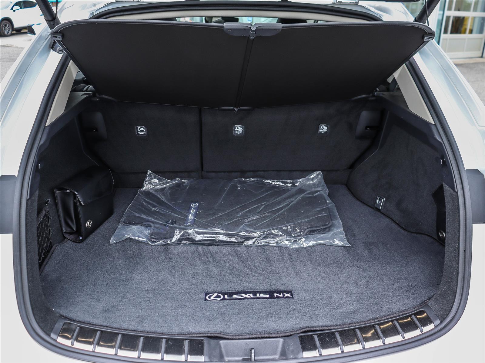 2025 Lexus NX 350h 21