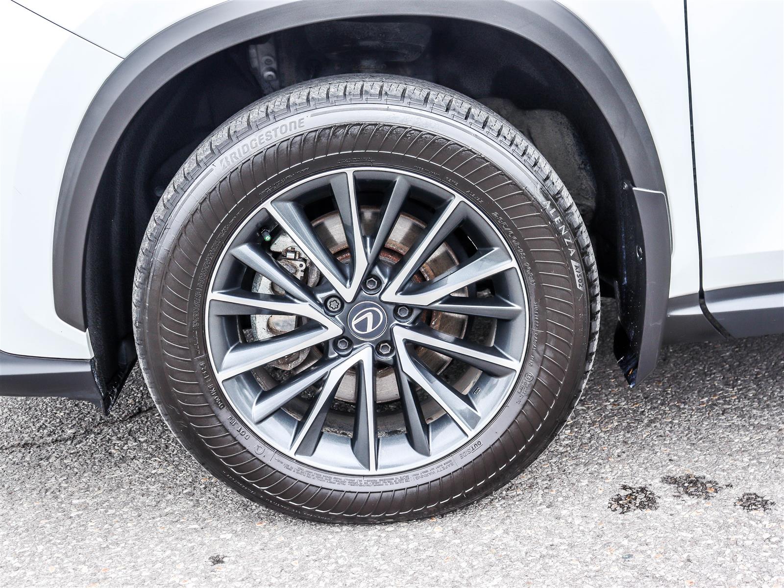 2025 Lexus NX 350h 24