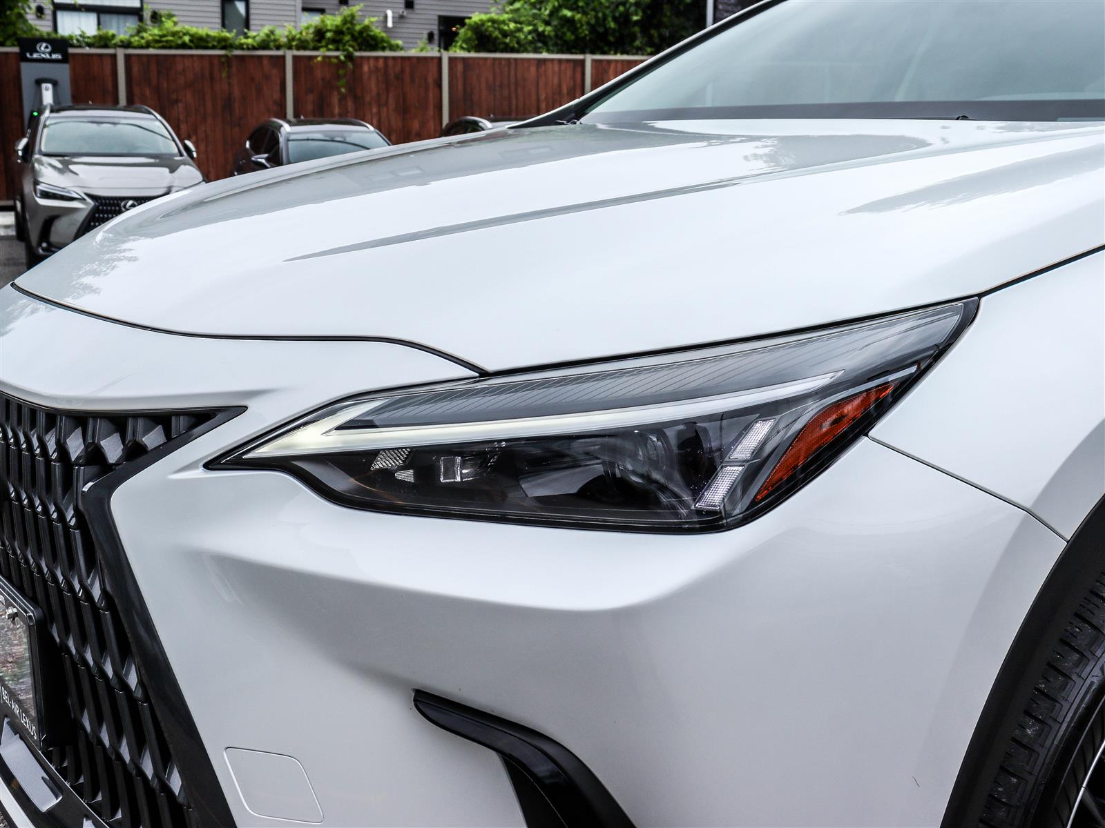 2025 Lexus NX 350h 25