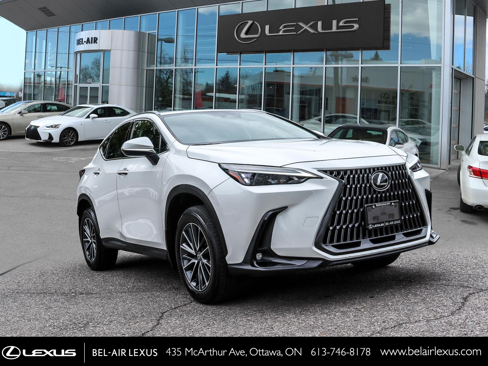 2025 Lexus NX 350h 2