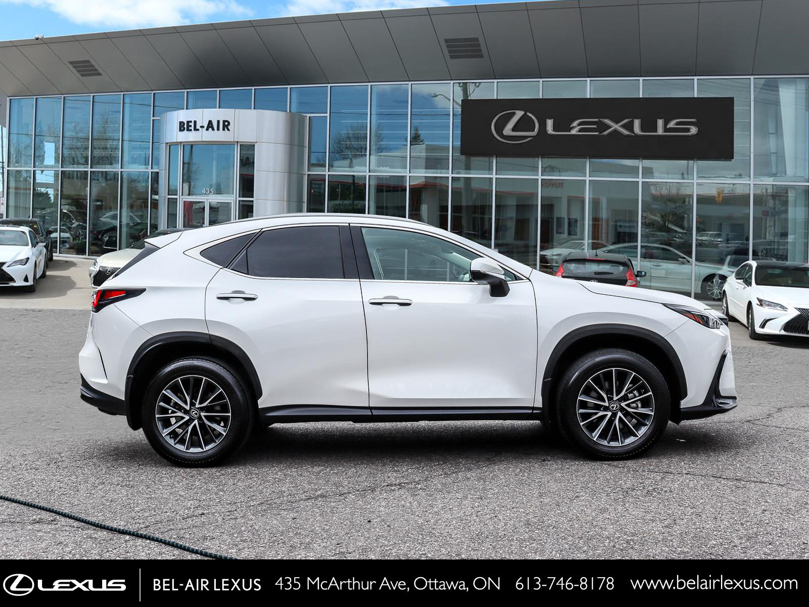 2025 Lexus NX 350h 3