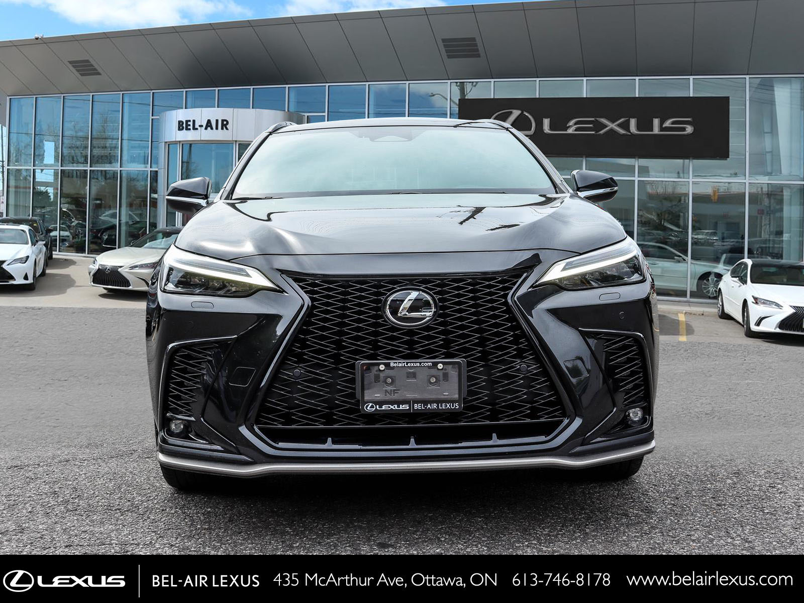 2023 Lexus NX 350 1