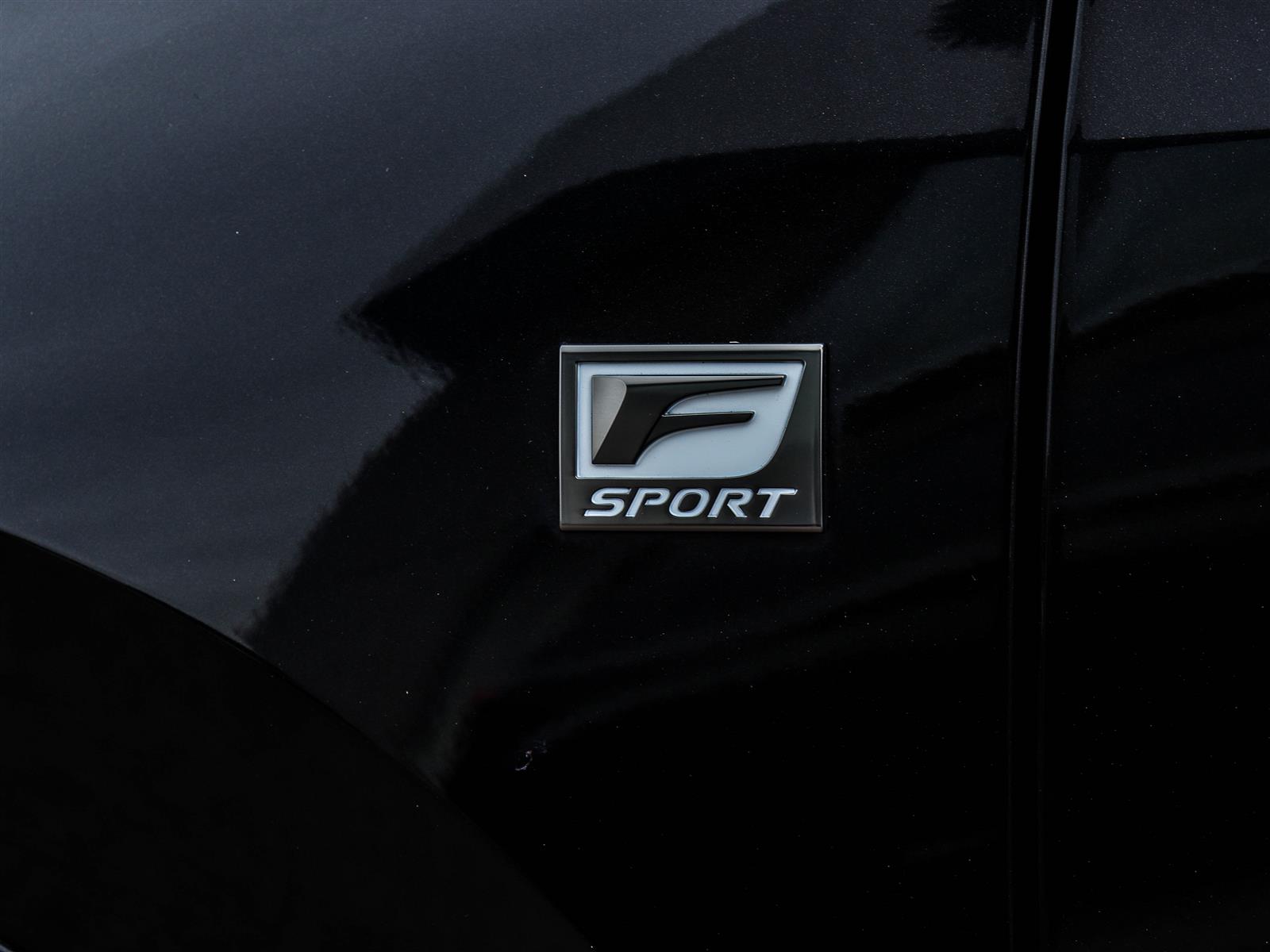 2023 Lexus NX 350 24