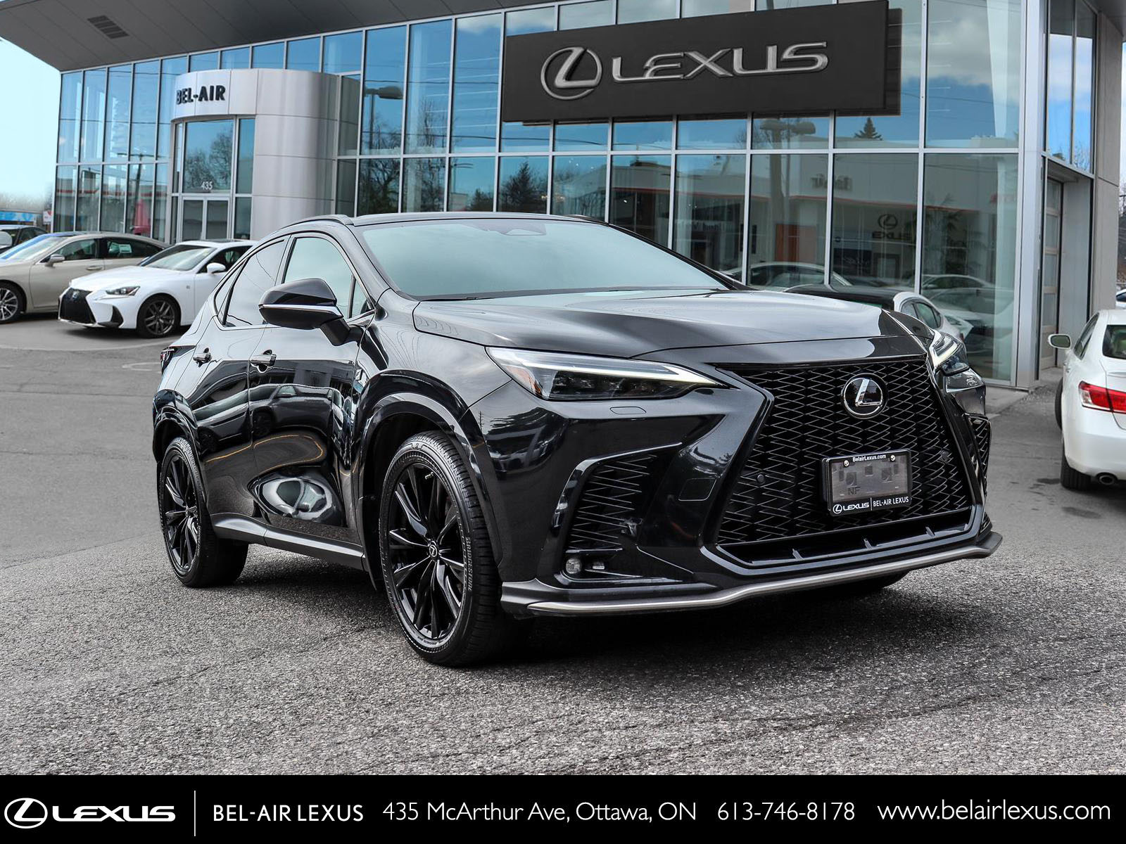2023 Lexus NX 350 2