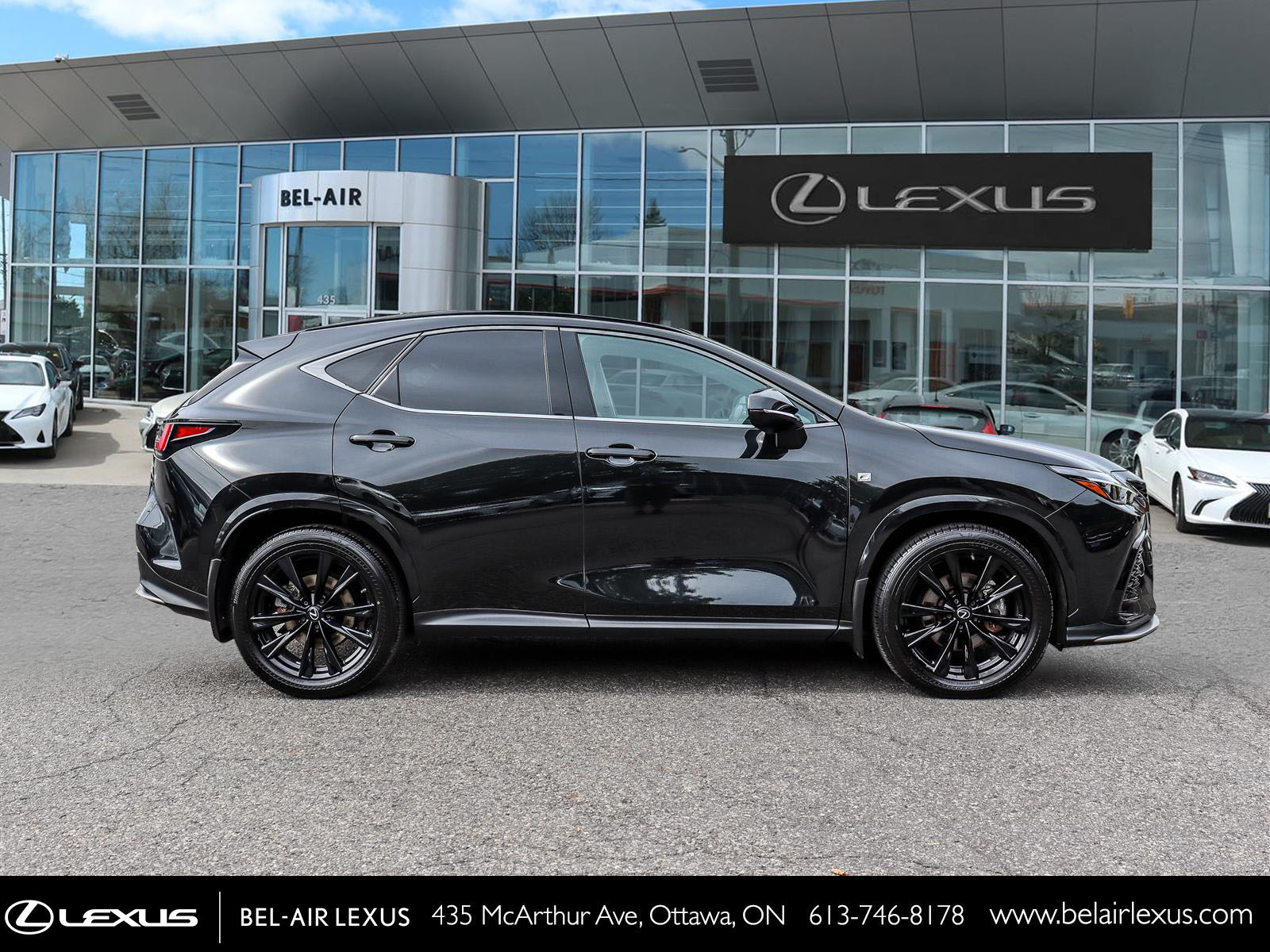 2023 Lexus NX 350 3