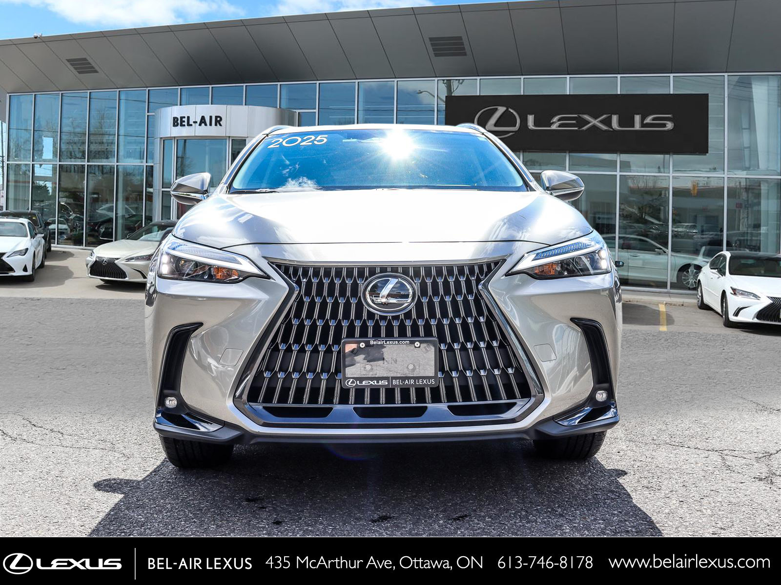 Lexus NX 350 2025 1